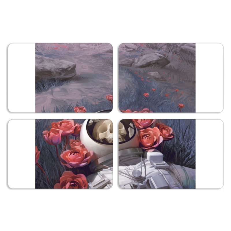 Магнитные фотопазлы 80 на 50 набор 4 штуки 