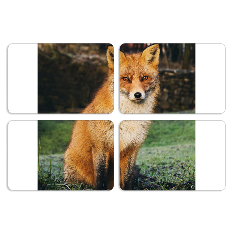 Магнитные фотопазлы 80 на 50 набор 4 штуки 