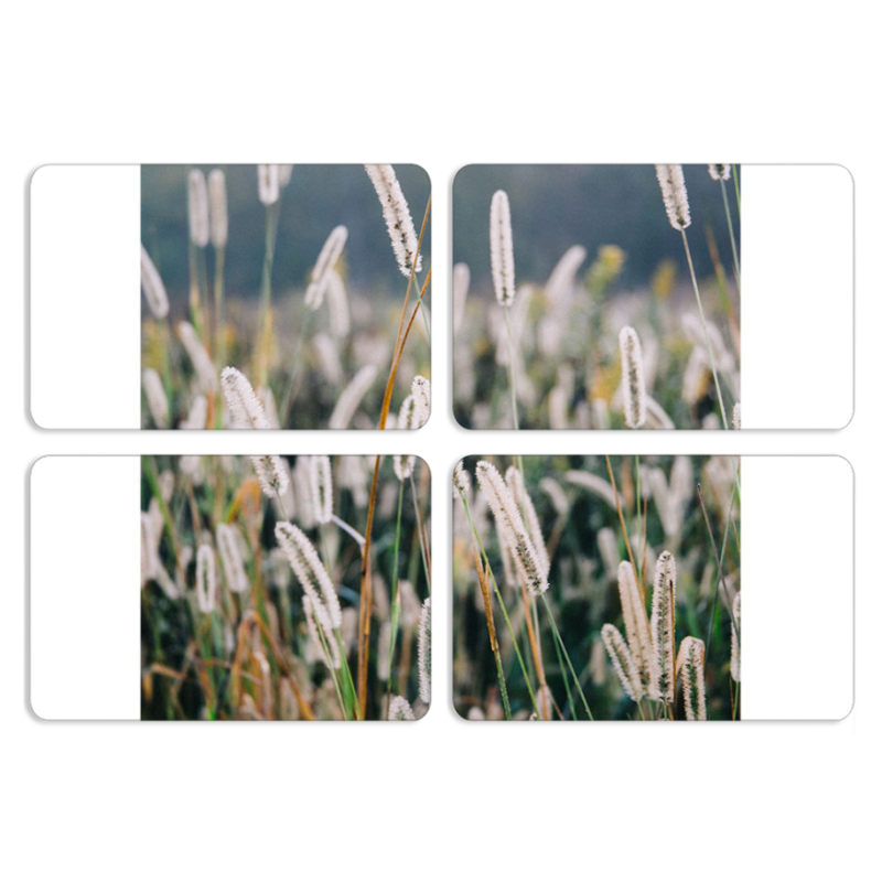 Магнитные фотопазлы 80 на 50 набор 4 штуки 