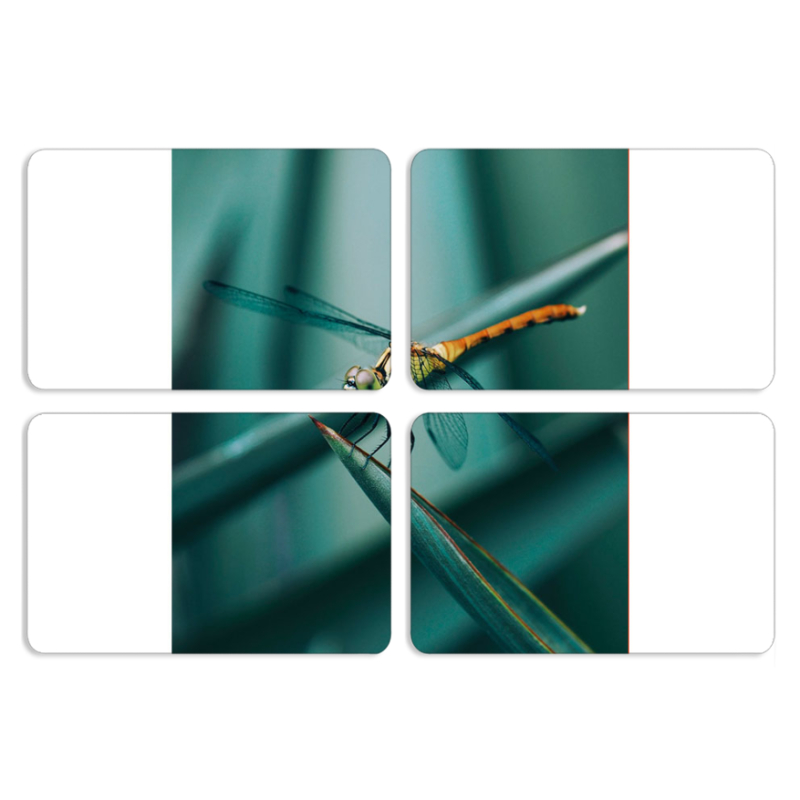 Магнитные фотопазлы 80 на 50 набор 4 штуки 