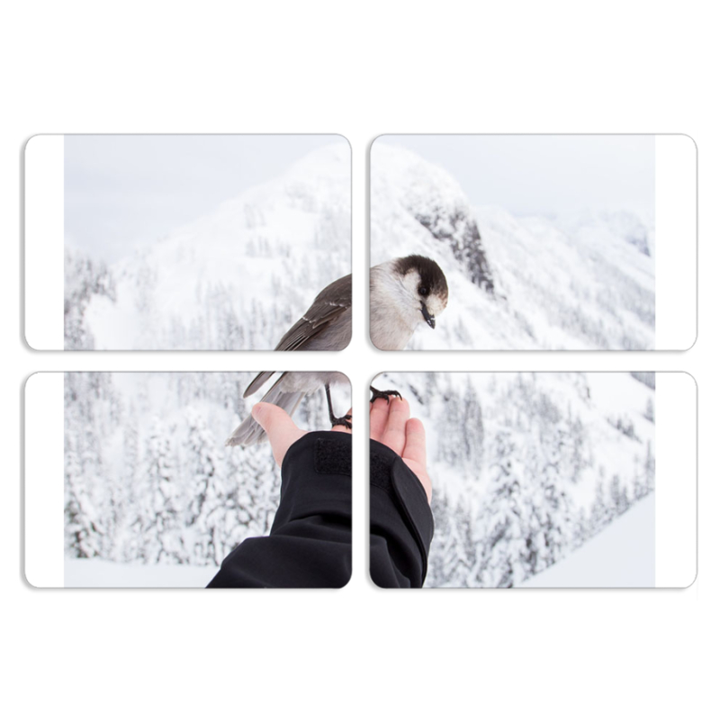 Магнитные фотопазлы 80 на 50 набор 4 штуки 