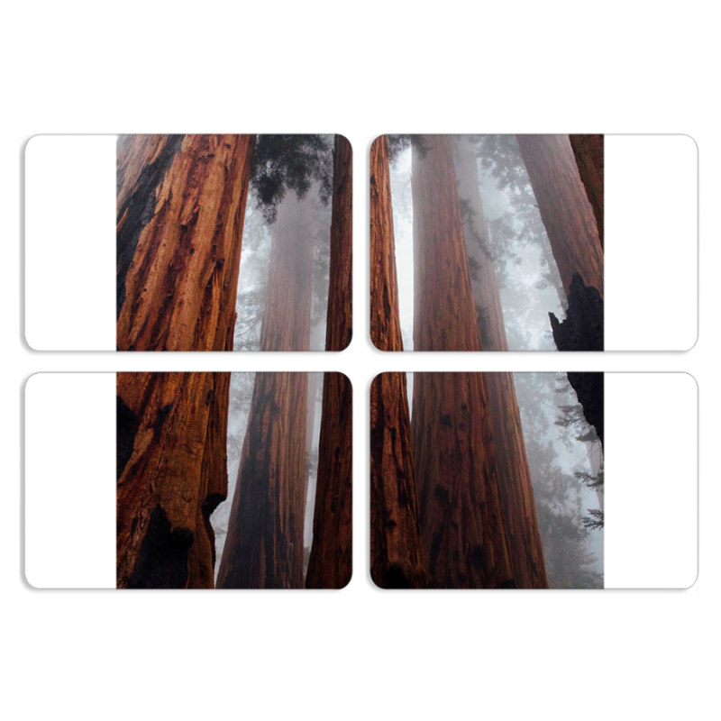 Магнитные фотопазлы 80 на 50 набор 4 штуки 