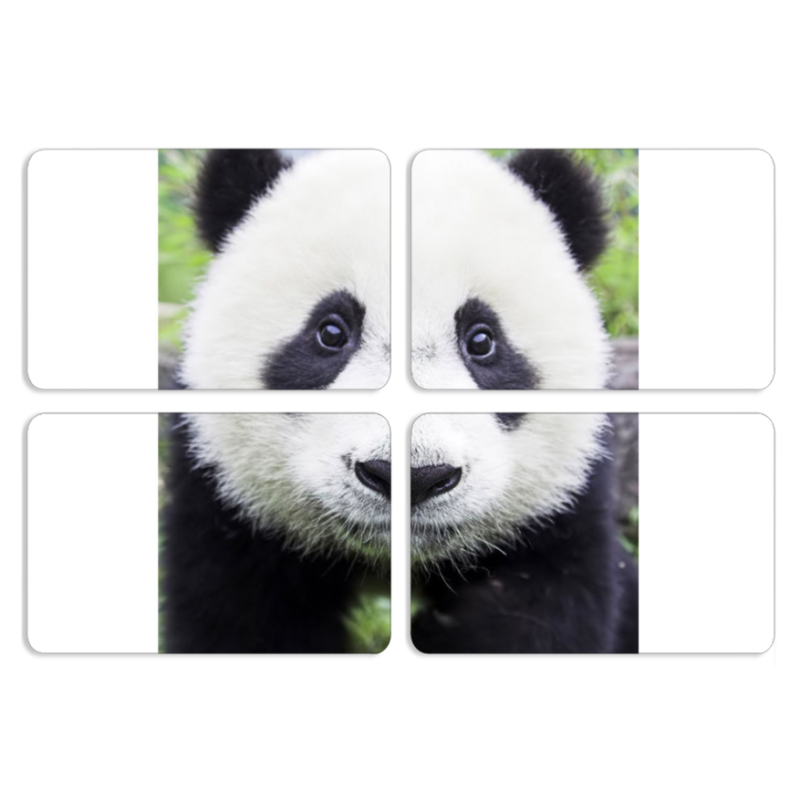 Магнитные фотопазлы 80 на 50 набор 4 штуки 