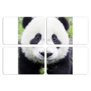 Магнитные фотопазлы 80 на 50 набор 4 штуки 