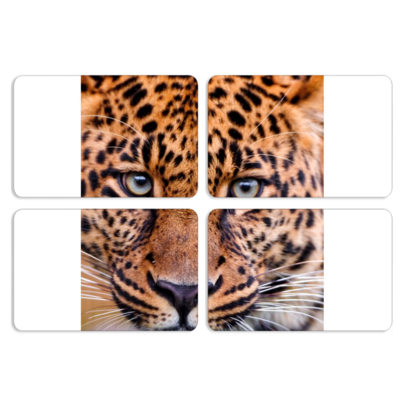 Магнитные фотопазлы 80 на 50 набор 4 штуки 