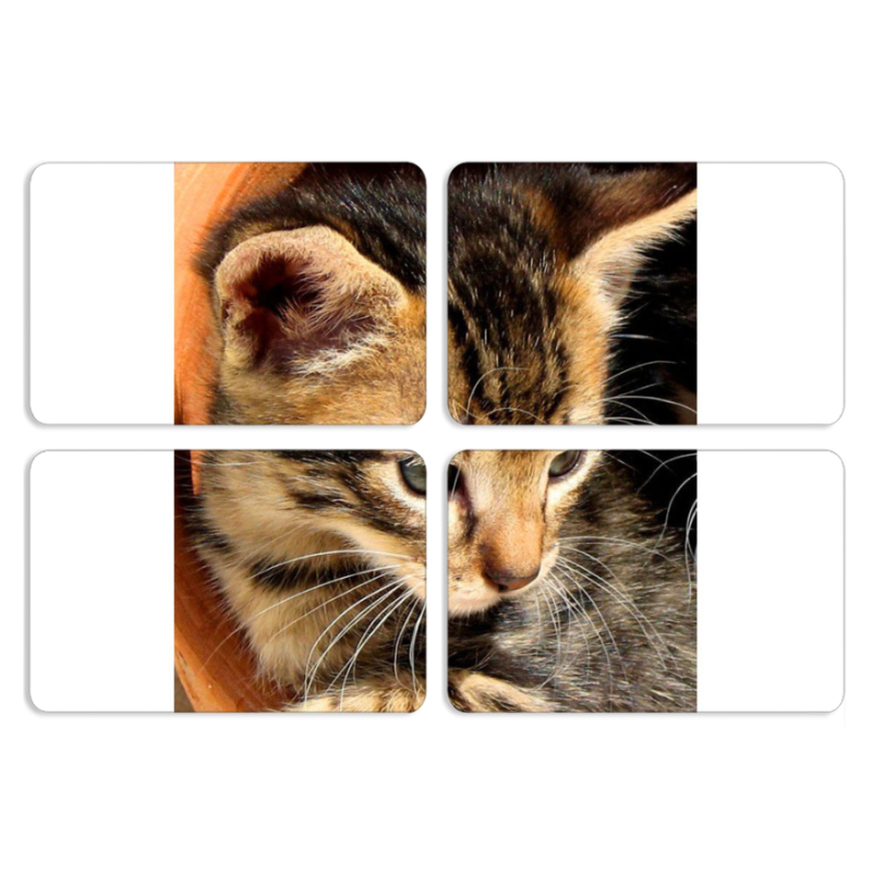 Магнитные фотопазлы 80 на 50 набор 4 штуки 