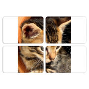 Магнитные фотопазлы 80 на 50 набор 4 штуки 