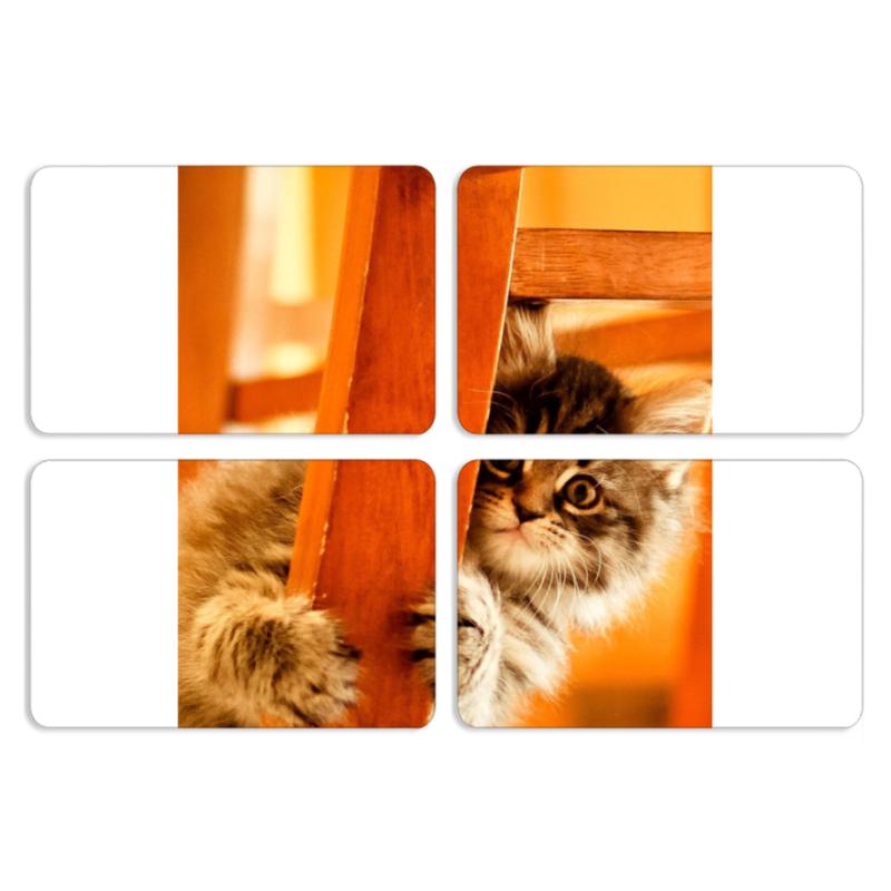 Магнитные фотопазлы 80 на 50 набор 4 штуки 