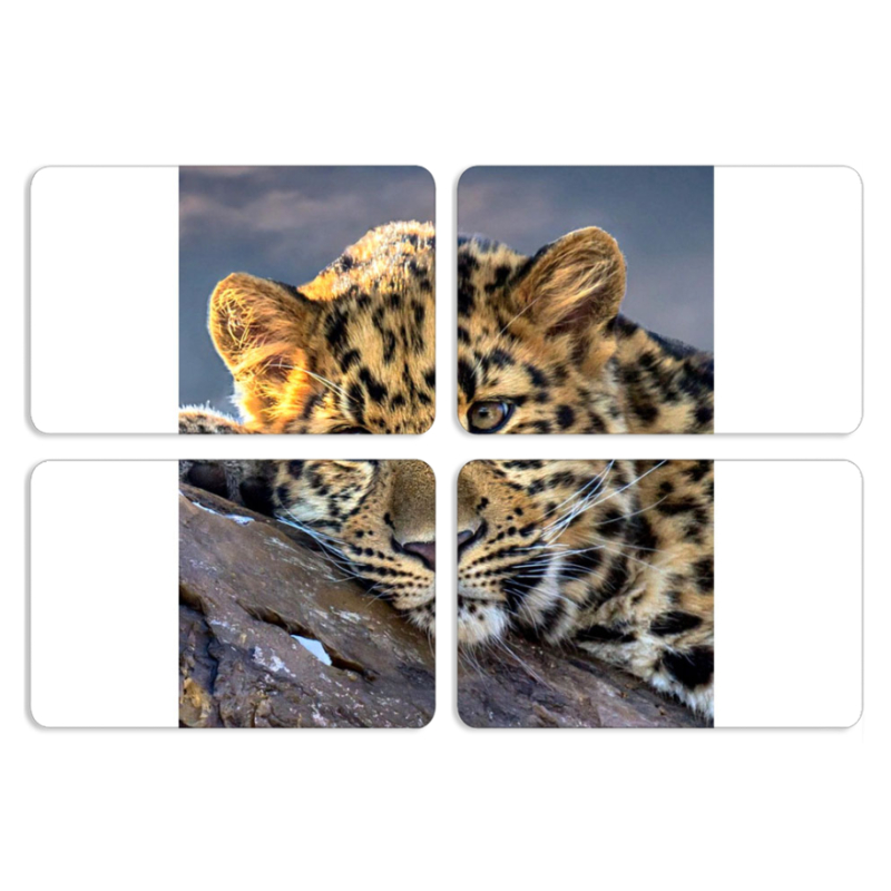 Магнитные фотопазлы 80 на 50 набор 4 штуки 