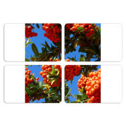 Магнитные фотопазлы 80 на 50 набор 4 штуки 