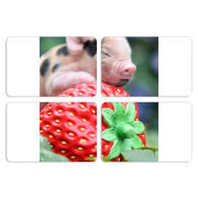 Магнитные фотопазлы 80 на 50 набор 4 штуки 