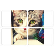 Магнитные фотопазлы 80 на 50 набор 4 штуки 