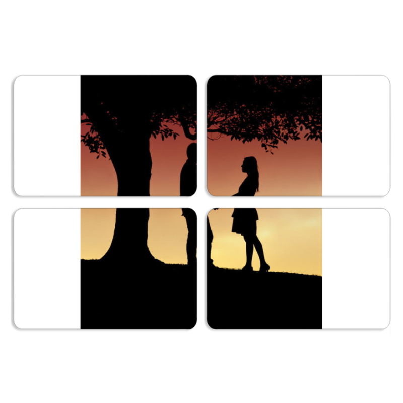 Магнитные фотопазлы 80 на 50 набор 4 штуки 