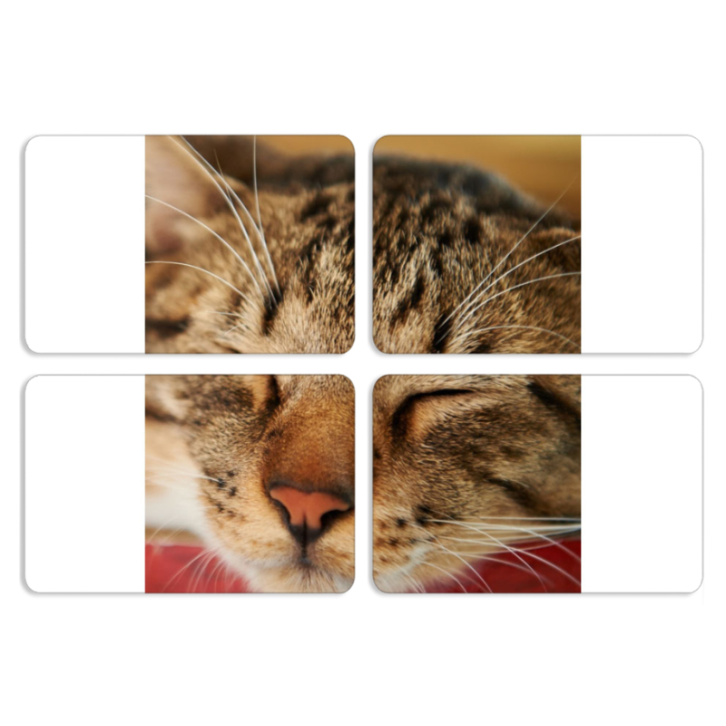 Магнитные фотопазлы 80 на 50 набор 4 штуки 