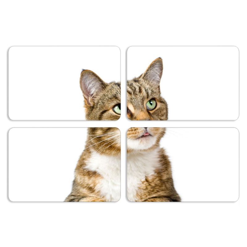 Магнитные фотопазлы 80 на 50 набор 4 штуки 