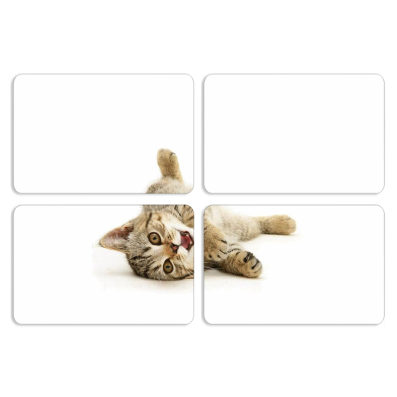 Магнитные фотопазлы 80 на 50 набор 4 штуки 