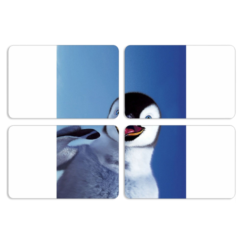 Магнитные фотопазлы 80 на 50 набор 4 штуки 