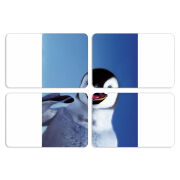 Магнитные фотопазлы 80 на 50 набор 4 штуки 