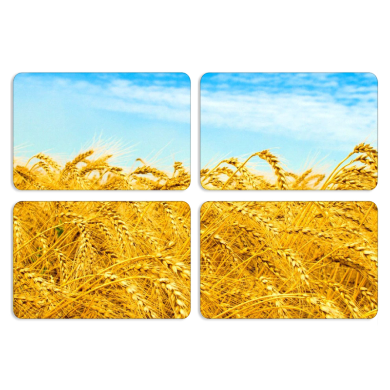 Магнитные фотопазлы 80 на 50 набор 4 штуки 