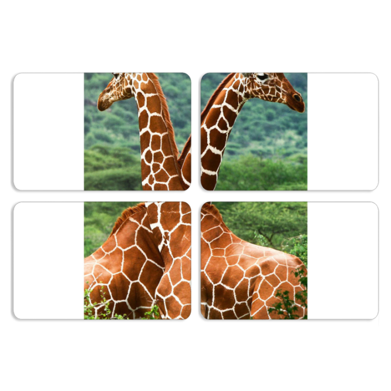 Магнитные фотопазлы 80 на 50 набор 4 штуки 