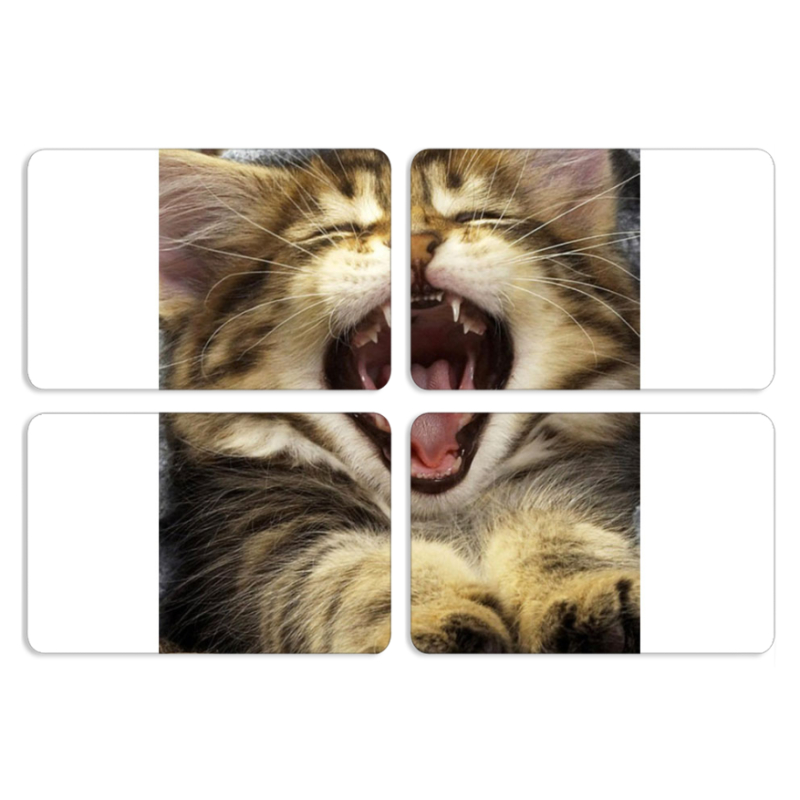 Магнитные фотопазлы 80 на 50 набор 4 штуки 