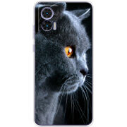 Чехол BoxFace Motorola Edge 30 Neo English cat