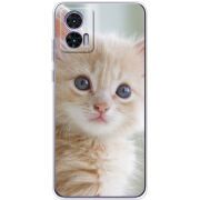 Чехол BoxFace Motorola Edge 30 Neo Animation Kittens