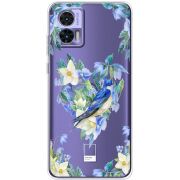 Прозрачный чехол BoxFace Motorola Edge 30 Neo Spring Bird