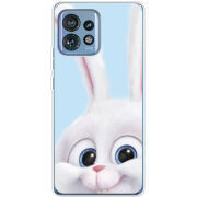 Чехол BoxFace Motorola Edge 40 Pro Rabbit