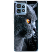 Чехол BoxFace Motorola Edge 40 Pro English cat