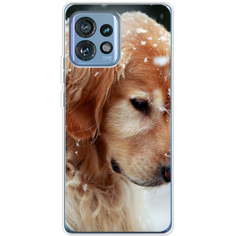 Чехол BoxFace Motorola Edge 40 Pro Golden Retriever