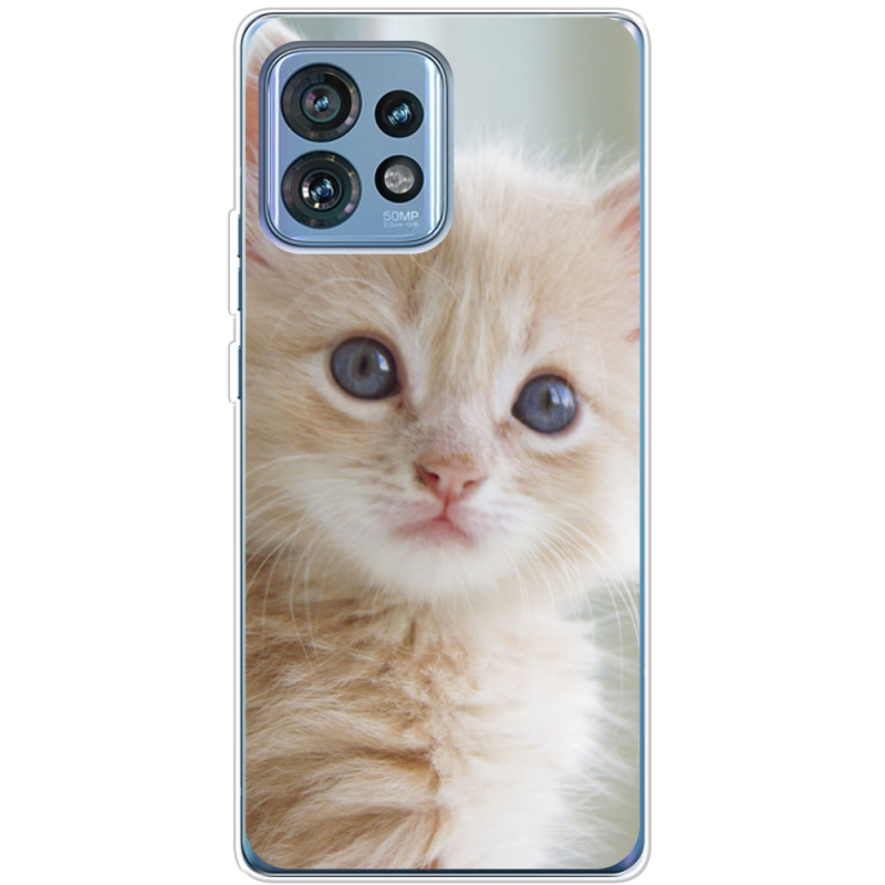 Чехол BoxFace Motorola Edge 40 Pro Animation Kittens