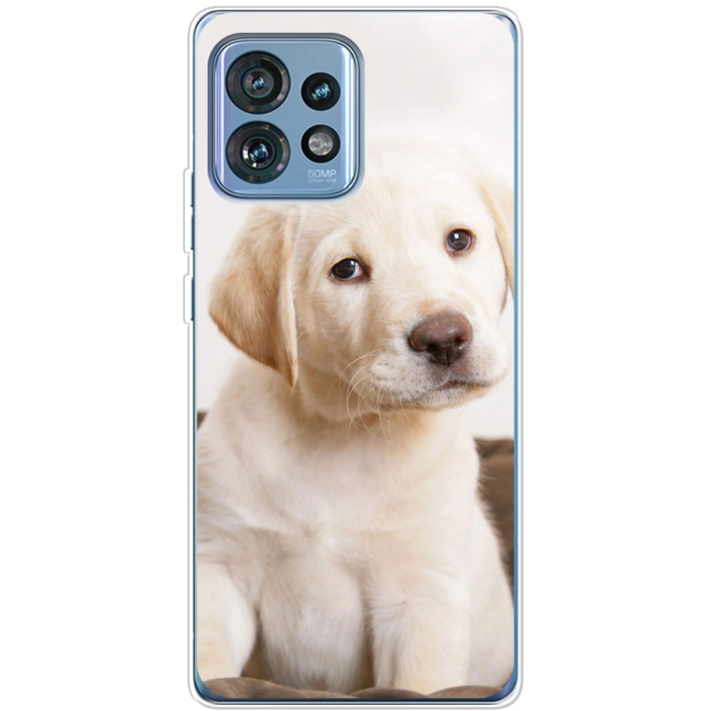 Чехол BoxFace Motorola Edge 40 Pro Puppy Labrador