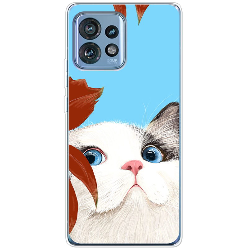 Чехол BoxFace Motorola Edge 40 Pro Wondering Cat