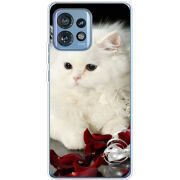 Чехол BoxFace Motorola Edge 40 Pro Fluffy Cat