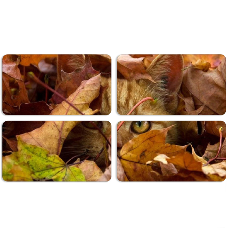 Магнитные фотопазлы 90 на 50 набор 4 штуки 