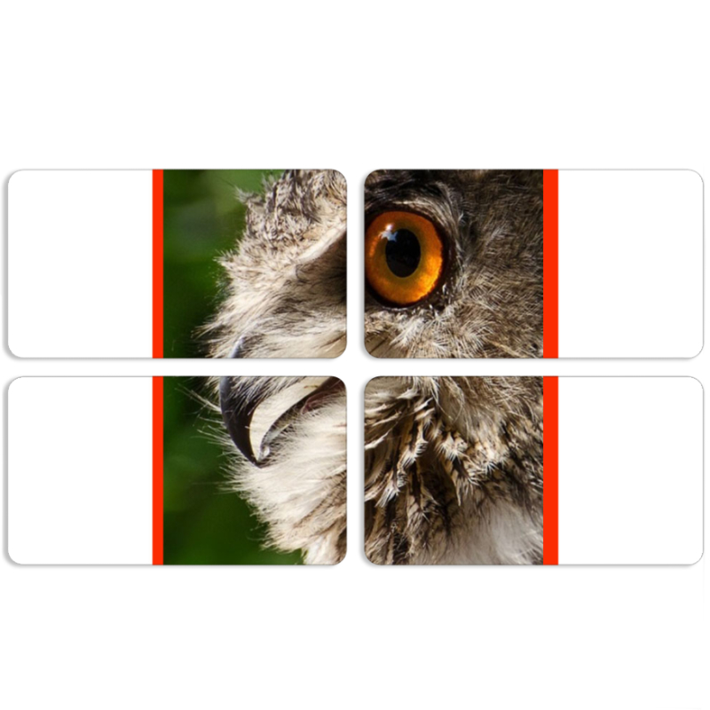 Магнитные фотопазлы 90 на 50 набор 4 штуки 