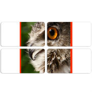 Магнитные фотопазлы 90 на 50 набор 4 штуки 