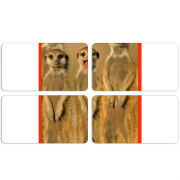 Магнитные фотопазлы 90 на 50 набор 4 штуки 