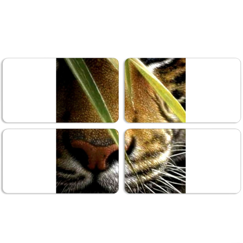 Магнитные фотопазлы 90 на 50 набор 4 штуки 