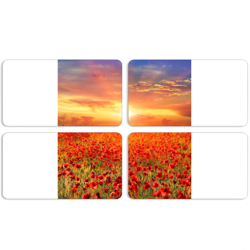 Магнитные фотопазлы 90 на 50 набор 4 штуки 