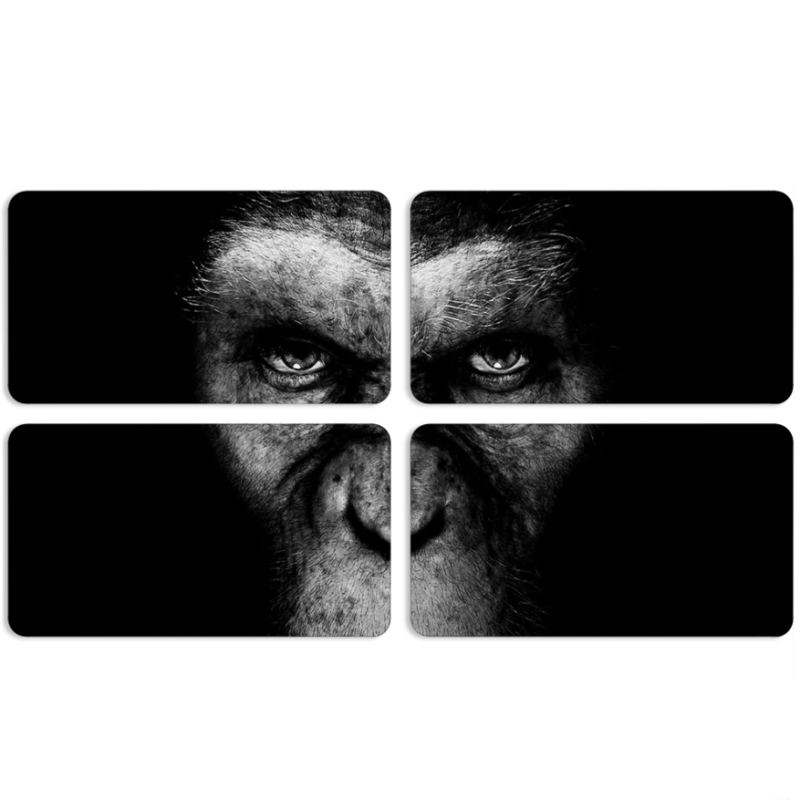 Магнитные фотопазлы 90 на 50 набор 4 штуки 