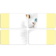 Магнитные фотопазлы 90 на 50 набор 4 штуки 