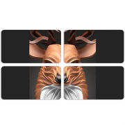 Магнитные фотопазлы 90 на 50 набор 4 штуки 