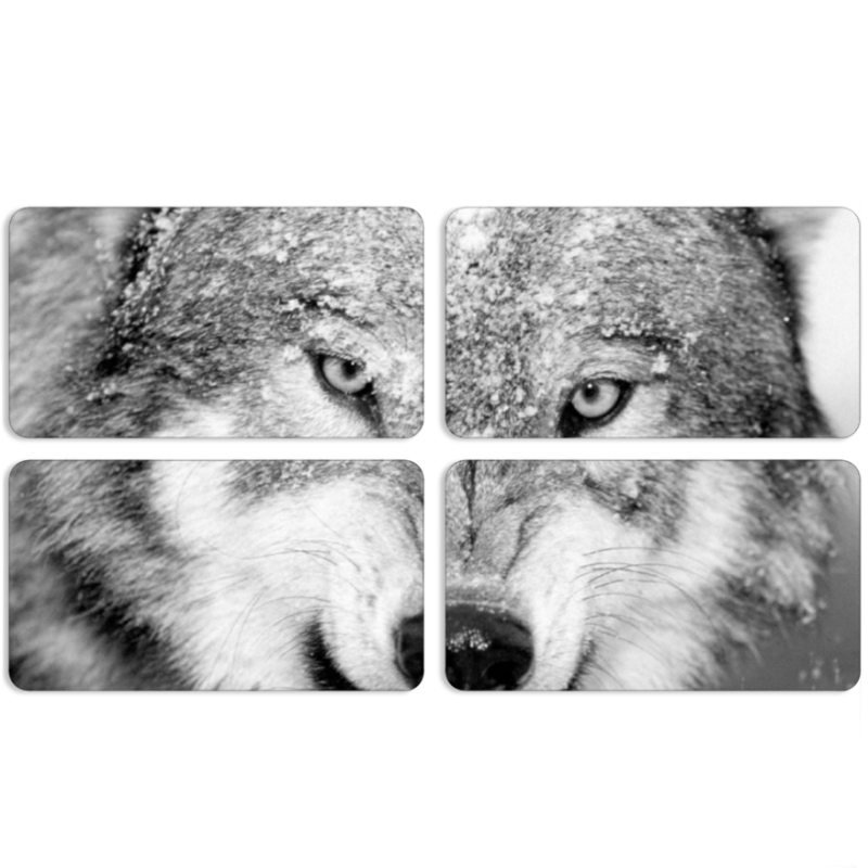 Магнитные фотопазлы 90 на 50 набор 4 штуки 