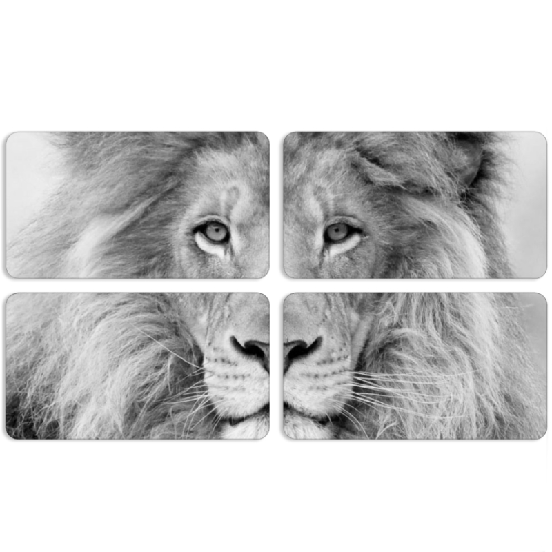 Магнитные фотопазлы 90 на 50 набор 4 штуки 