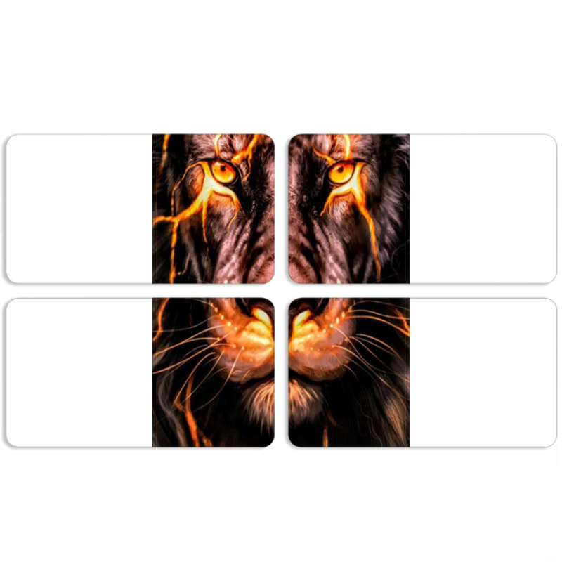 Магнитные фотопазлы 90 на 50 набор 4 штуки Fire Lion