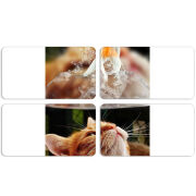 Магнитные фотопазлы 90 на 50 набор 4 штуки 