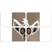 Магнитные фотопазлы 90 на 50 набор 4 штуки 