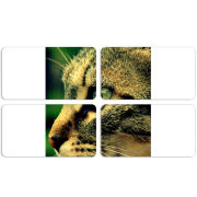 Магнитные фотопазлы 90 на 50 набор 4 штуки 